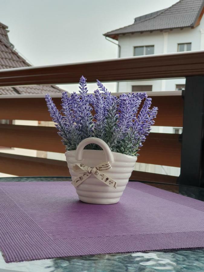 Zlatibor Hills Lara Aparthotel Exterior foto